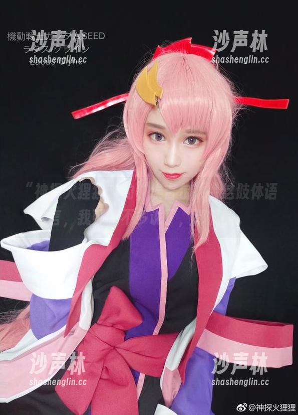 神探火狸狸 “神探火狸狸”的“埃吉尔”,这肢体语言,我可就不多说了,都懂的。