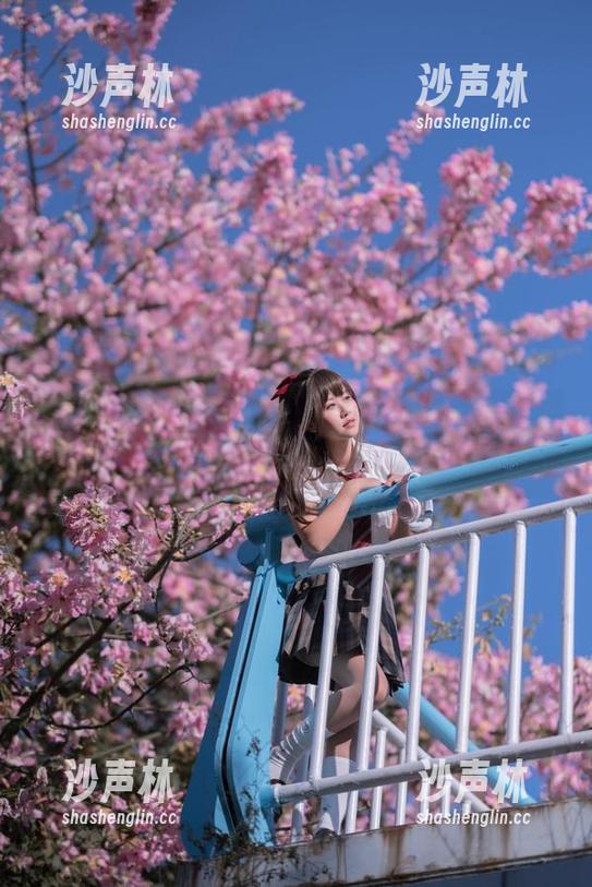萌芽儿o0 血拼壁纸:萌芽儿o0的美图让泳池成了游乐场